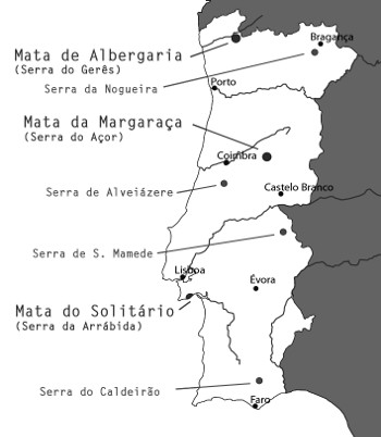 mapa_florestas